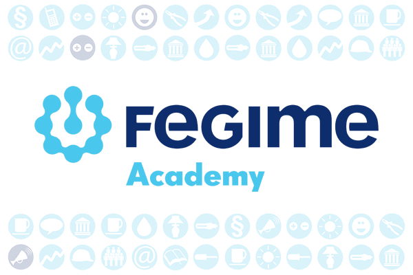 FEGIME Academy